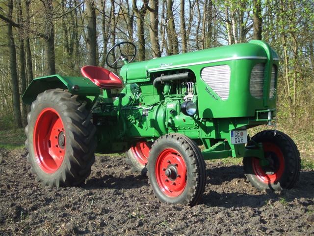 Der Junior im Fr&uuml;hjahr 2009