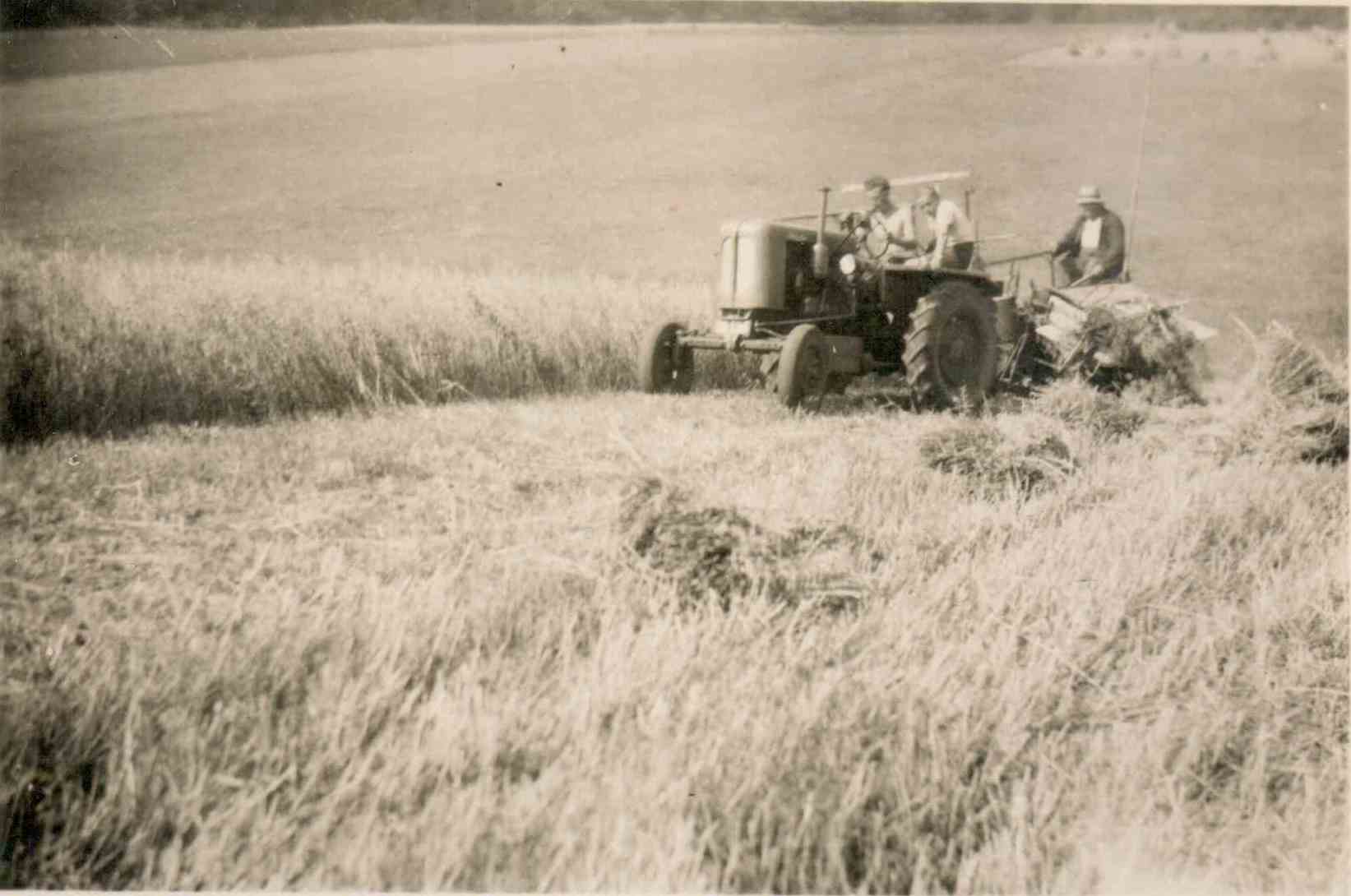 Ritscher mit M&auml;hbinder