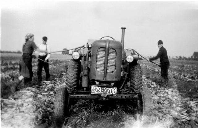 Ritscher beim R&uuml;benladen